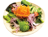 Salad-garden salad