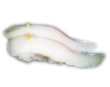 Nigiri-kingfish