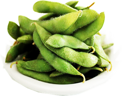 HD-soybean(L)